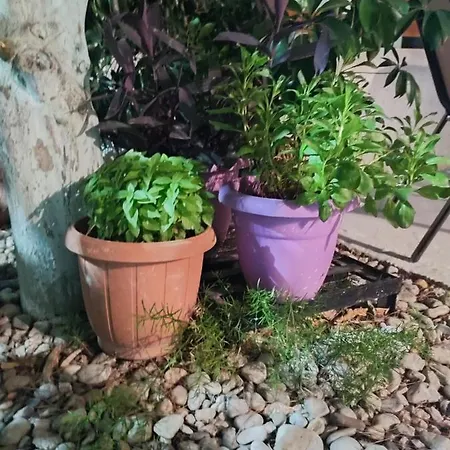 Katerina's Cozy And Comfortable Place Apartment Nafplio