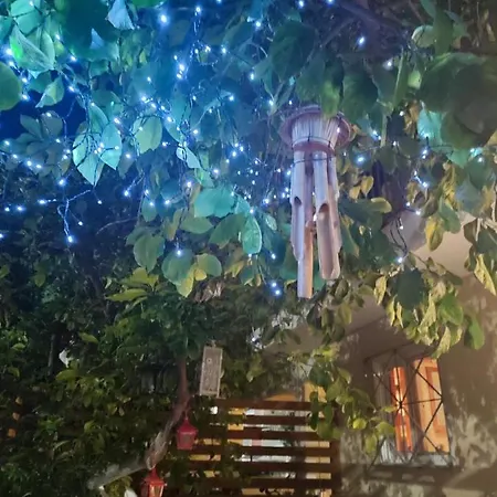 Katerina's Cozy And Comfortable Place Apartment