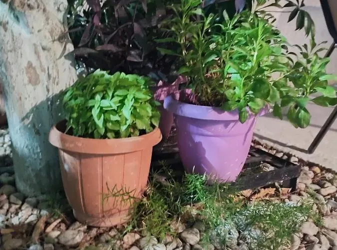 Katerina's Cozy And Comfortable Place Apartment Nafplio