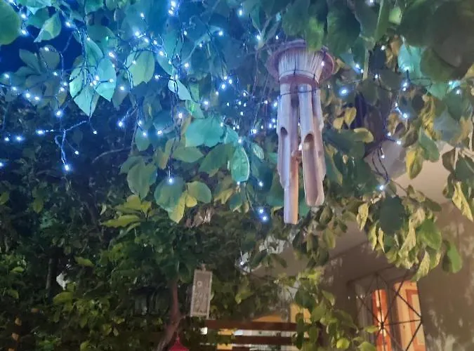 Katerina's Cozy And Comfortable Place Apartment